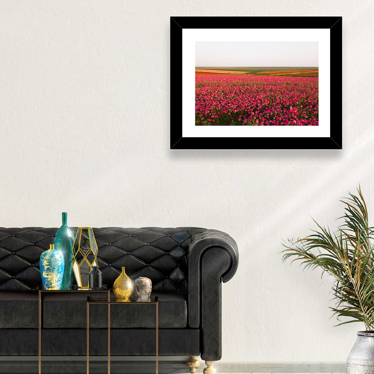 Pink Ranunculus Flower Field Wall Art in a room, landscape