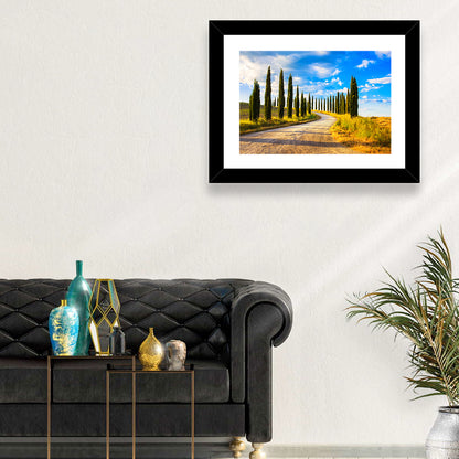 Sunlit Tuscany Cypress Road Wall Art