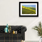 Mu Cang Chai Rice Terraces Wall Art