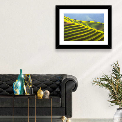 Mu Cang Chai Rice Terraces Wall Art