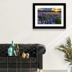 Texas Bluebonnet Field at Sunset Wall Art