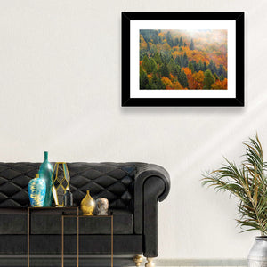 Autumn Forestscape Wall Art