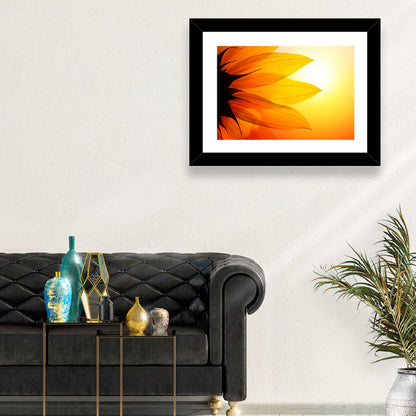 Backlit Sunflower Petals Wall Art