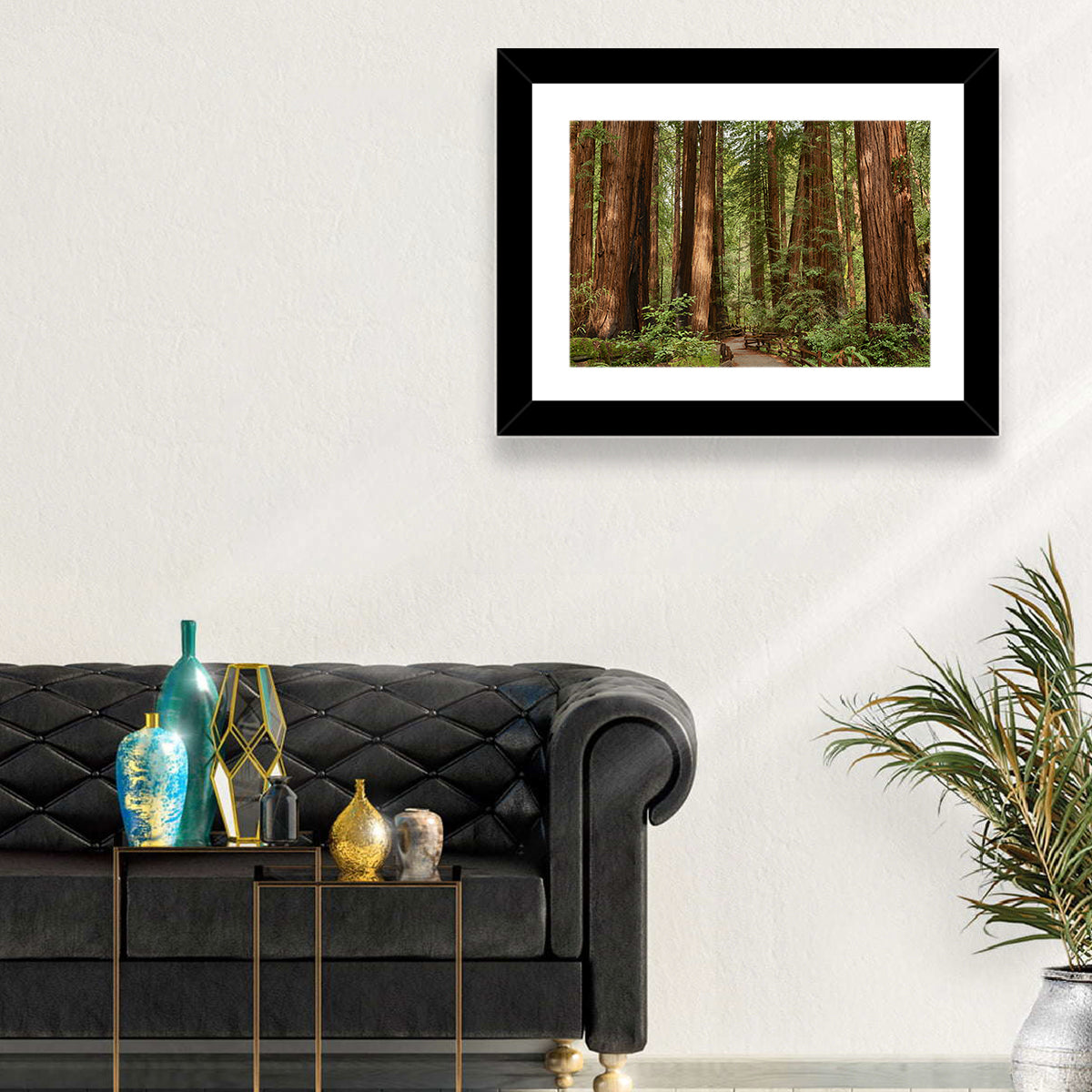 Muir Woods Redwood Trail Wall Art
