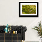 Macro Algae Stream Wall Art