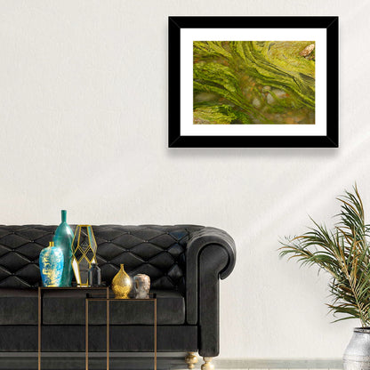 Macro Algae Stream Wall Art