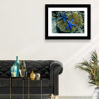 Blue Starfish Wall Art