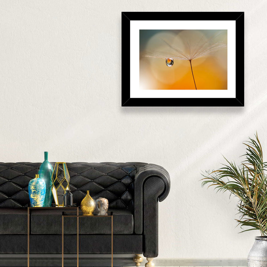 Dandelion Seed with Droplet Wall Art