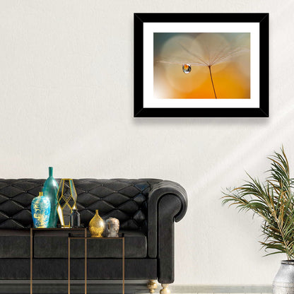Dandelion Seed with Droplet Wall Art