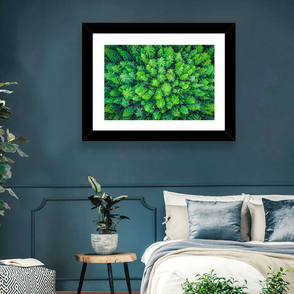 Whakarewarewa Forest Canopy Wall Art