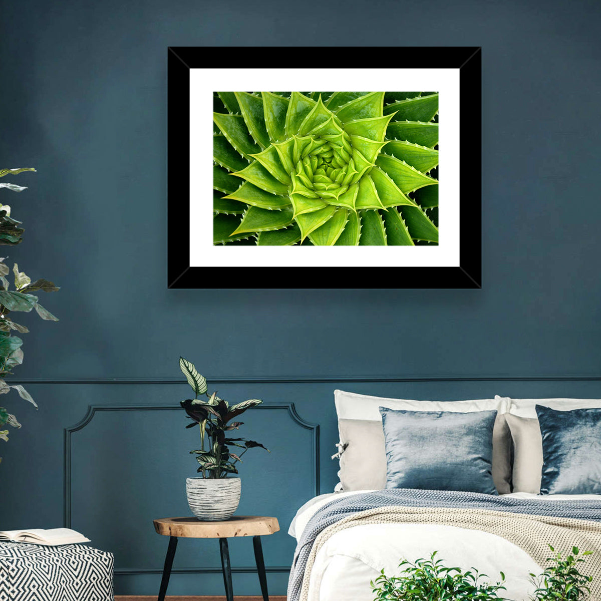 Spiral Aloe Succulent Wall Art