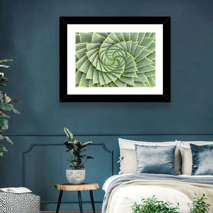 Spiral Aloe Close-up Wall Art