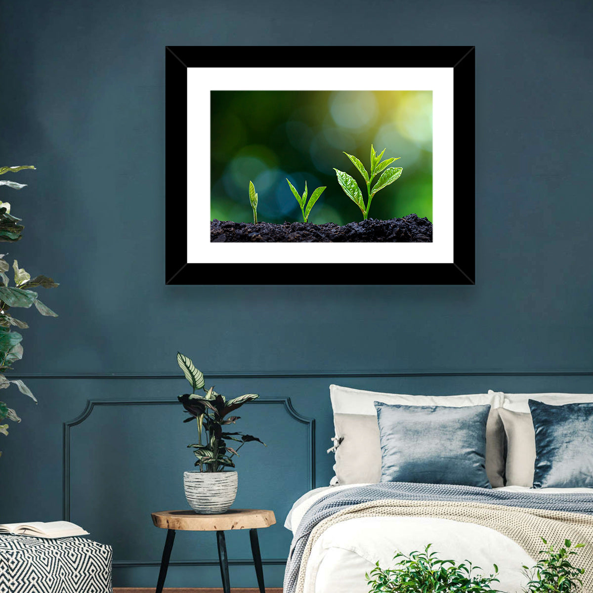 Seedling Growth Stages Wall Art in a room, landscape
