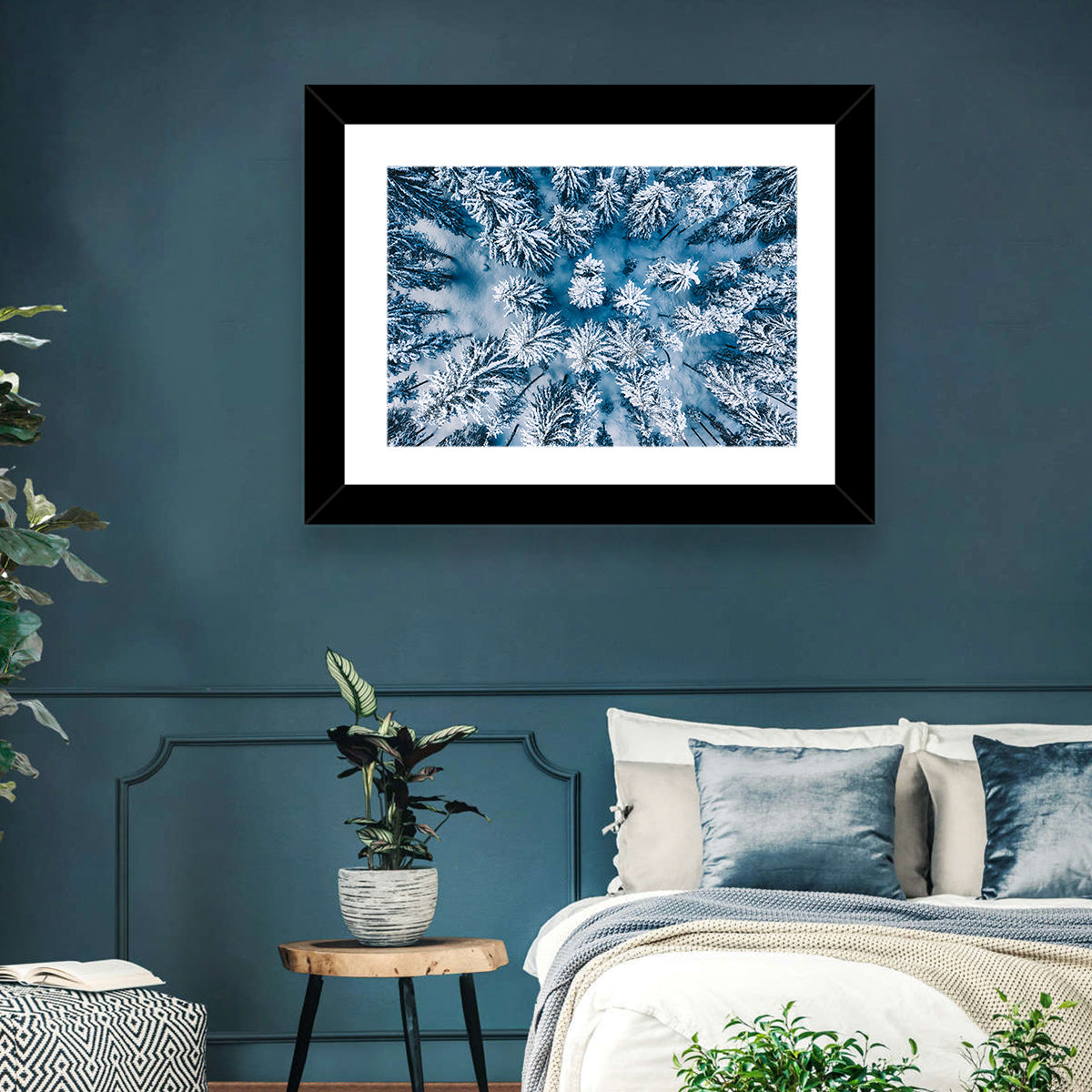 Aerial Snowy Evergreen Canopy Wall Art