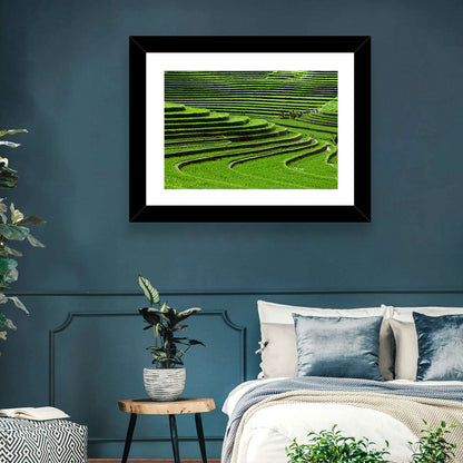Lush Rice Terraces Wall Art