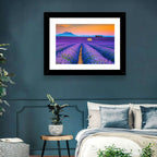 Valensole Lavender Fields at Sunset Wall Art