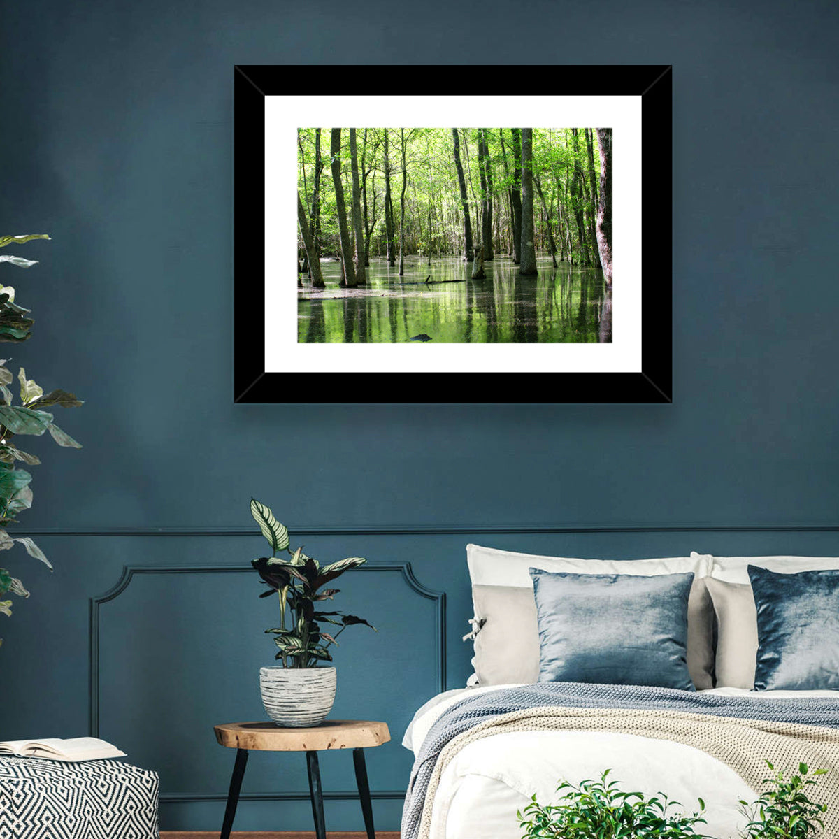 Sunlit Swamp Forest Wall Art