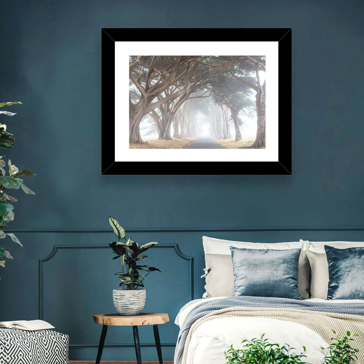 Misty Cypress Tunnel Wall Art
