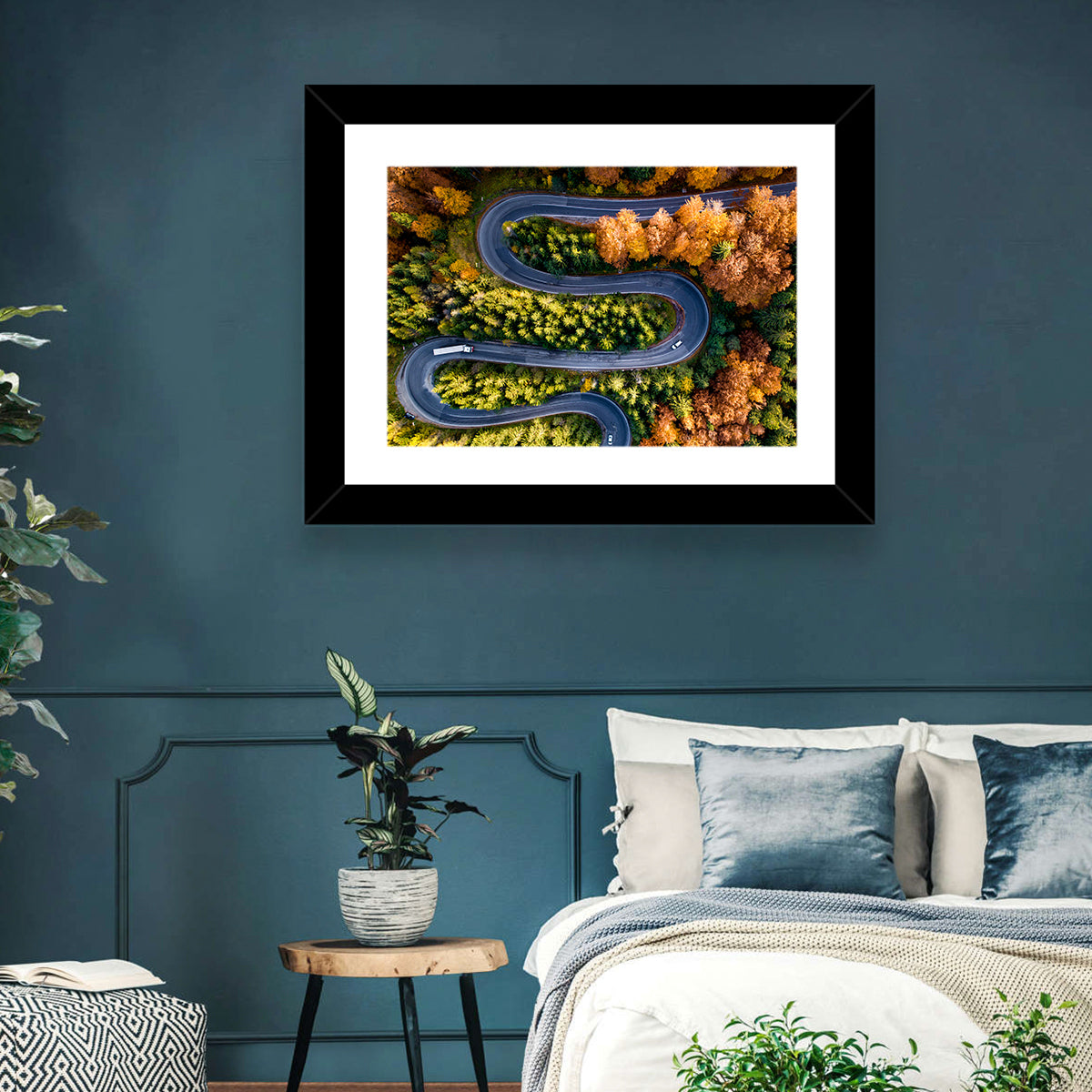 Serpentine Forest Road Wall Art in a room, landscape