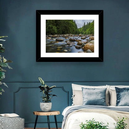 Lynn Canyon Riverbed Forest Wall Art