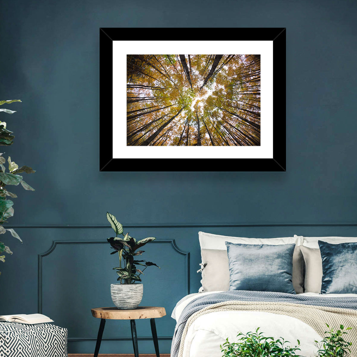 Autumn Forest Canopy Looking Up Wall Art in a room, landscape