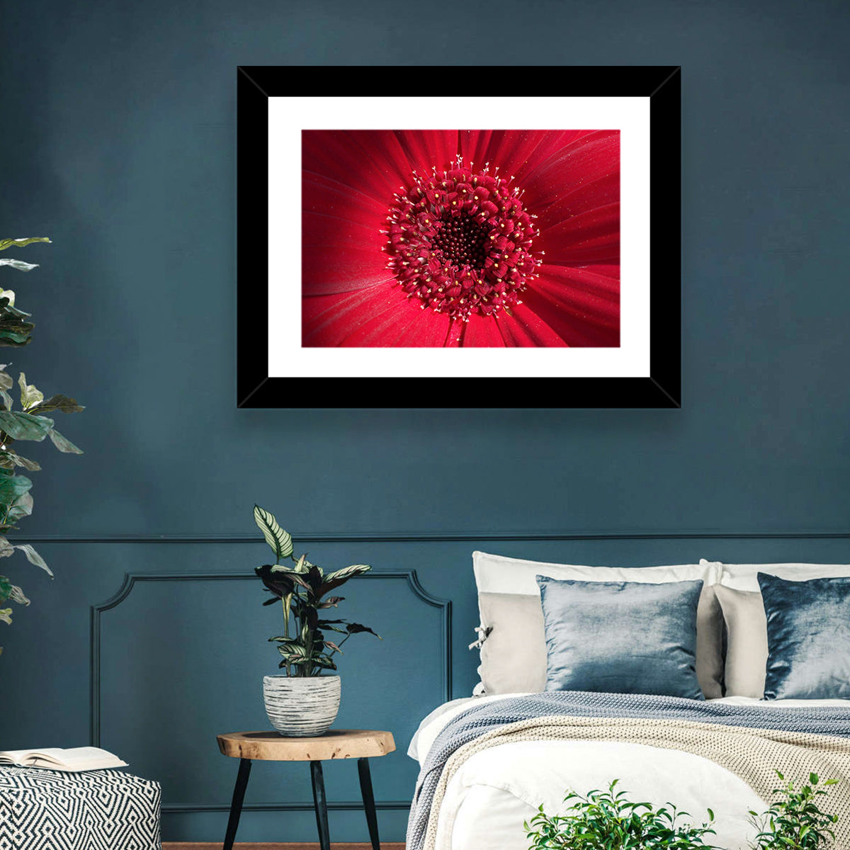 Red Gerbera Daisy Macro Close Up Wall Art in a room, landscape