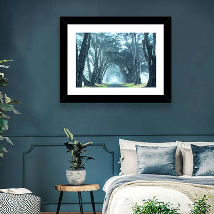 Foggy Cypress Tree Tunnel Wall Art