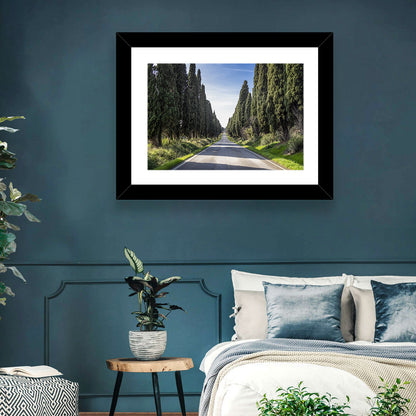 Cypress Trees Avenue Wall Art