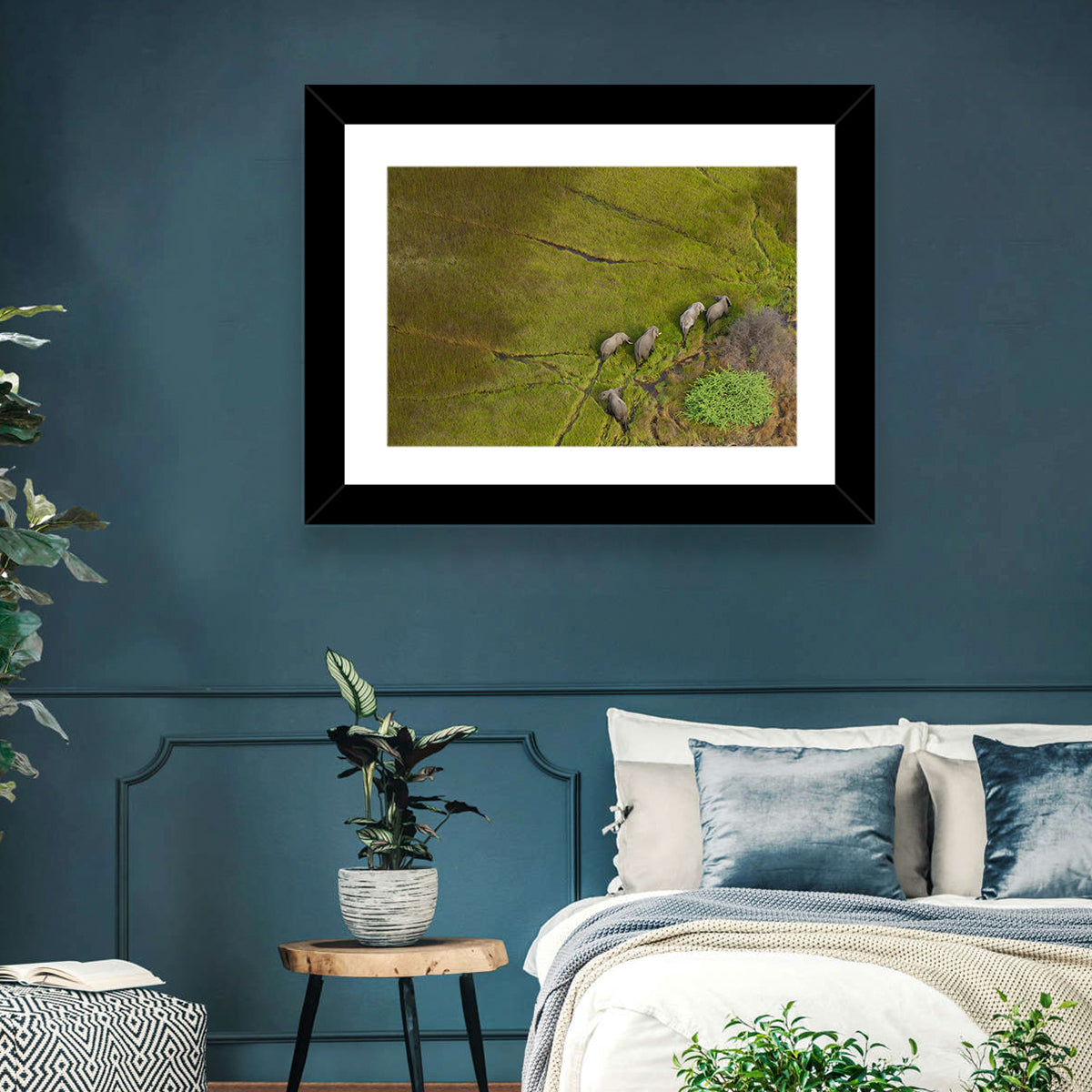 Aerial Herd of Elephants Wall Art