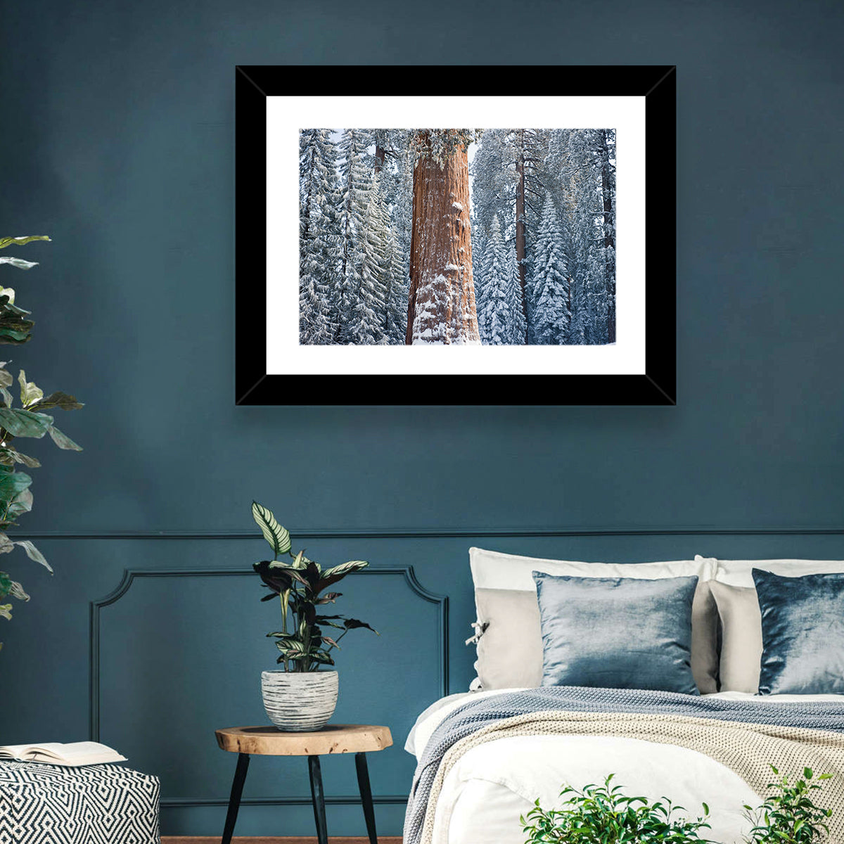 Winter Giant Sequoia in Snowy Forest Wall Art in a room, landscape