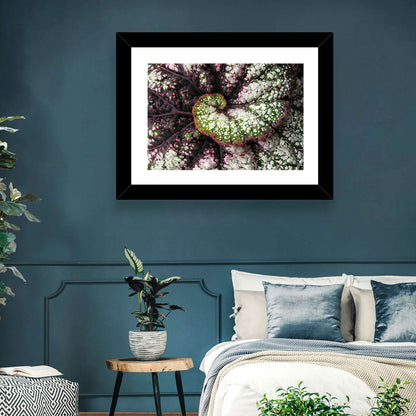 Begonia Leaf Spiral Geometry Wall Art