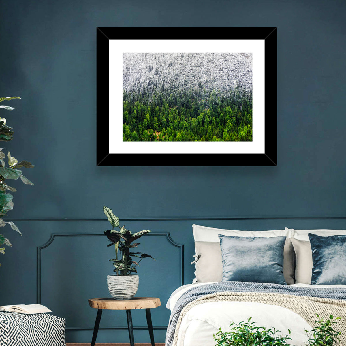 Snowy Dolomites Forest Wall Art in a room, landscape