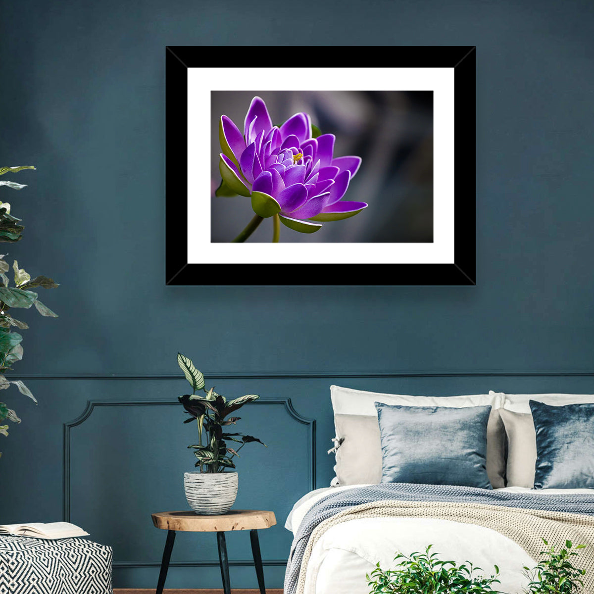 Purple Water Lily Close-up Wall Art in a room, landscape