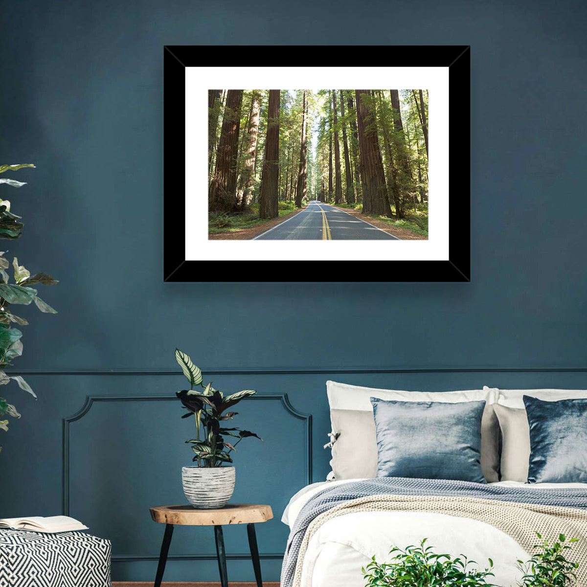 Giants Avenue Redwood Forest Road Wall Art in a room, landscape