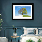 Split Season Tree Landscape Wall Art