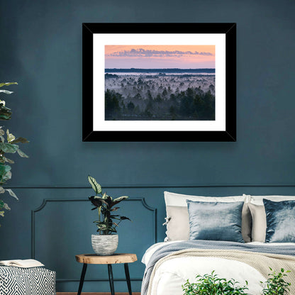 Estonian Misty Pine Landscape Wall Art