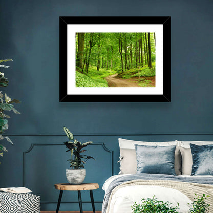 Sunlit Forest Path Wall Art