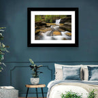 South Carolina Forest Waterfall Wall Art