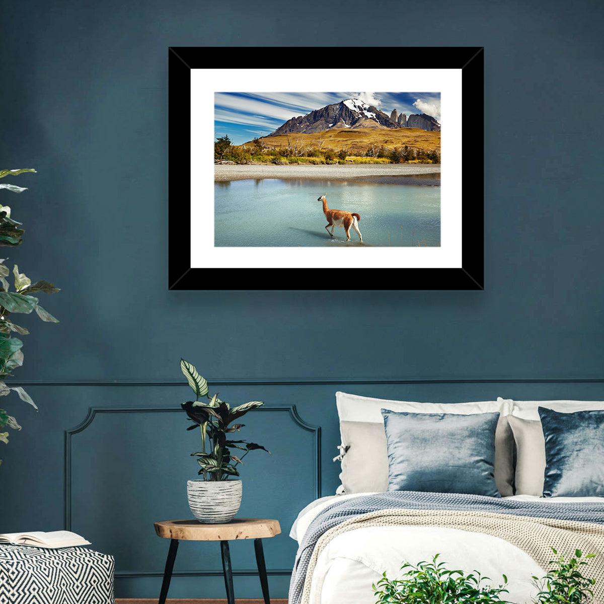 Torres Del Paine, Patagonia Wall Art in a room, landscape