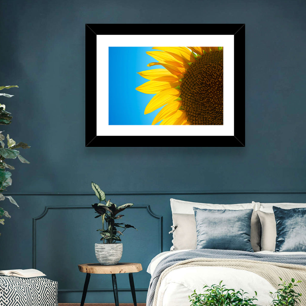 Sunflower Close-up Wall Art