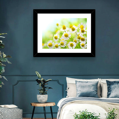Chamomile Close-up Wall Art