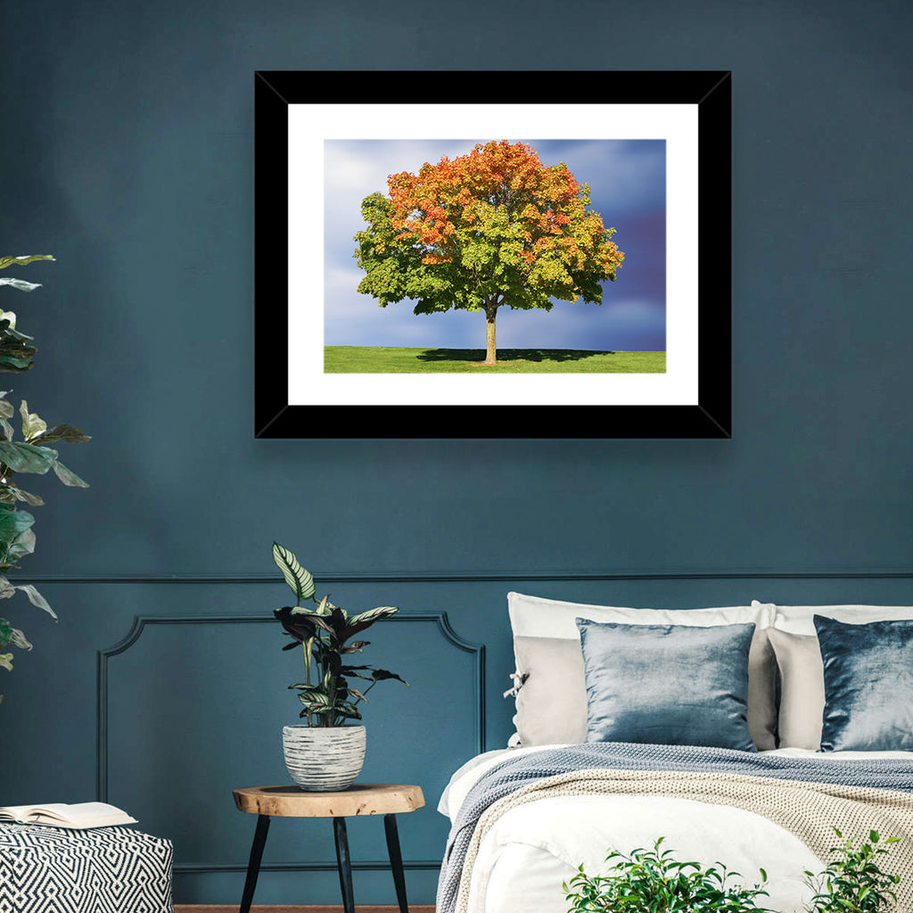 Maple with Split Foliage Wall Art