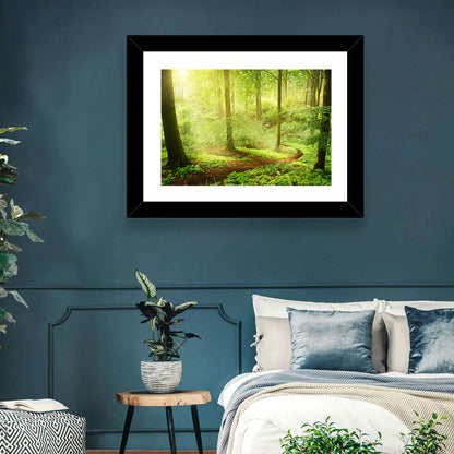 Sunlit Forest Path Wall Art