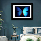 Blue Butterfly Macro Study Wall Art