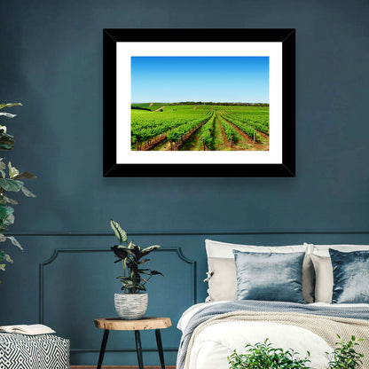 Sunlit Vineyard Rows Wall Art