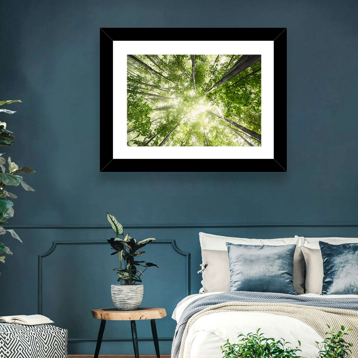 Spring Canopy in Morning Mist Wall Art in a room, landscape
