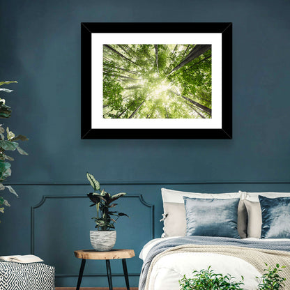 Misty Spring Forest Wall Art