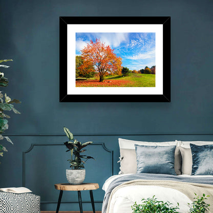 Orange Maple on Rolling Hill Wall Art