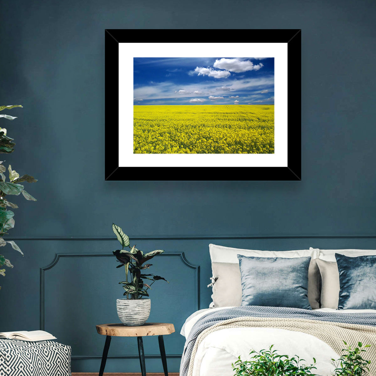 Sunlit Canola Field Wall Art