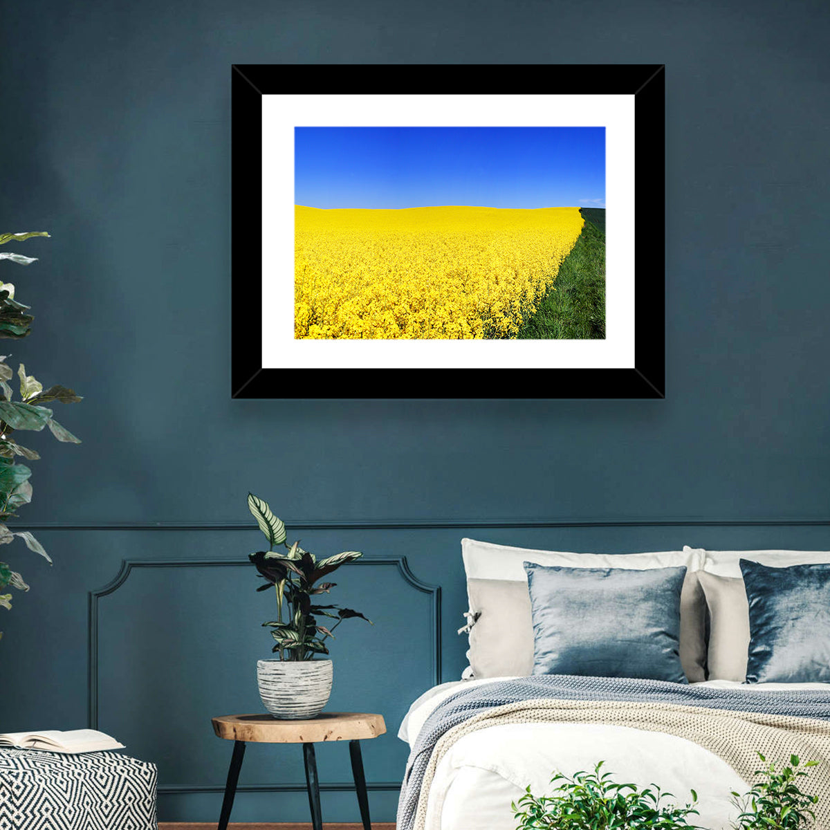Sunlit Rapeseed Field Wall Art in a room, landscape